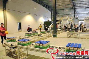 河北光明食品集团临西县食用菌工厂化建设项目圆满竣工，助力现代农业发展